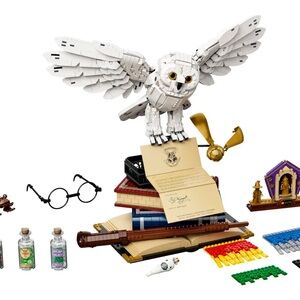 Lego White Owl Set with Colorful Accessories